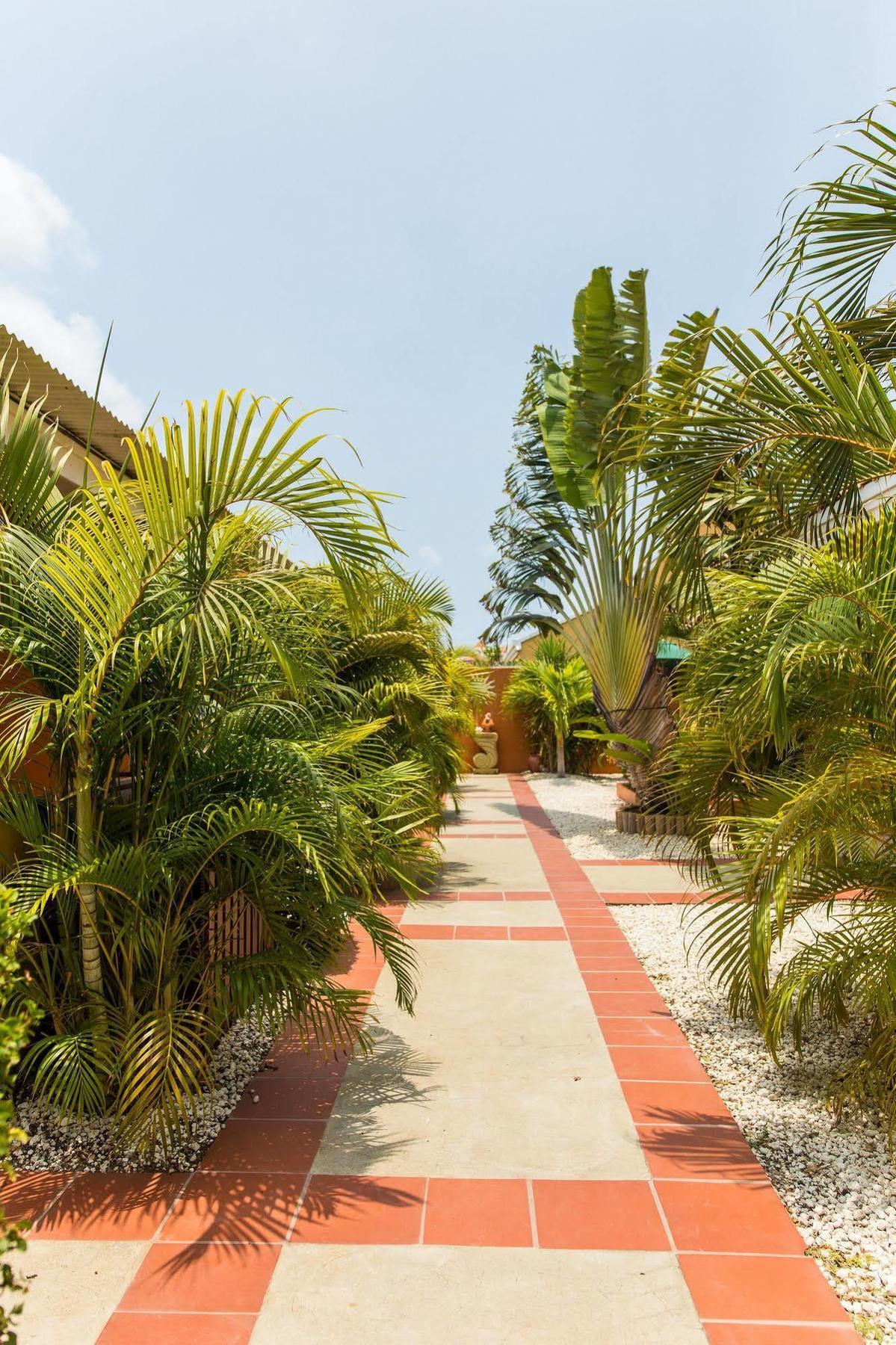 Carinas Studio Apartments Palm Beach Exterior photo